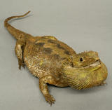 Click for more details.